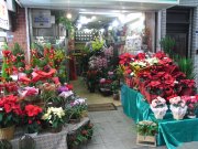 「元町フラワー」　（兵庫県神戸市中央区）の花屋店舗写真1