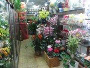 「元町フラワー」　（兵庫県神戸市中央区）の花屋店舗写真3